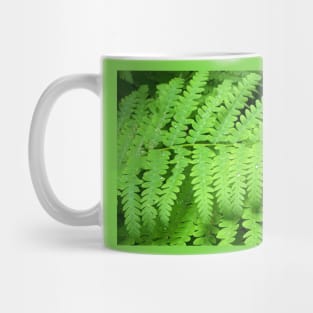 Lispe Fern Mug